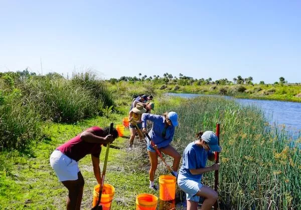 Voluntariado: el mejor vehículo para recuperar la conexión personal e impulsar nuestras habilidades más humanas