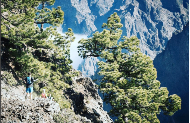 Otro año más los Voluntarios de 