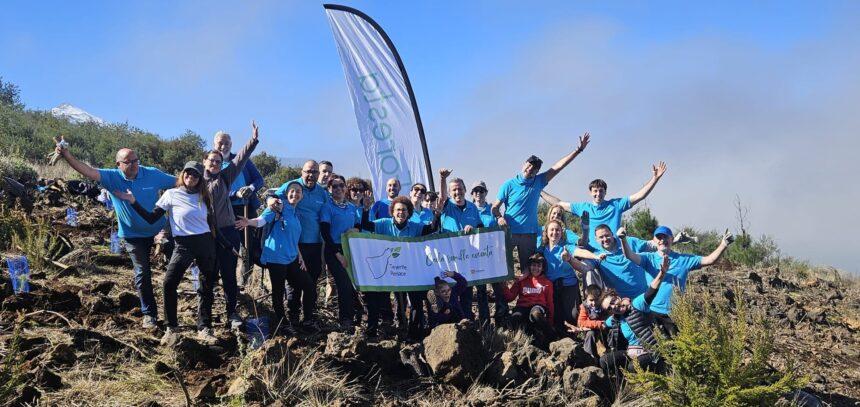 Voluntariado CaixaBank colabora en la reforestación de zonas afectadas por incendios